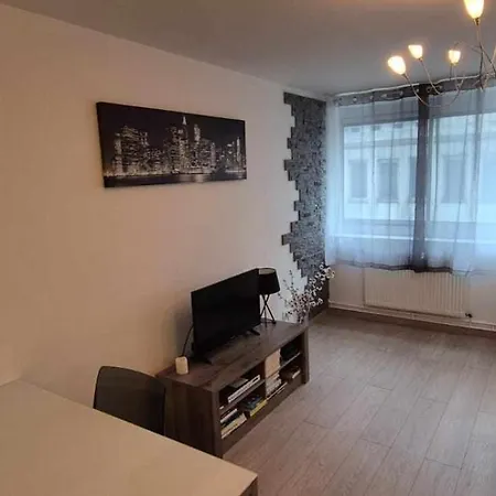 Nouveau !! Confortable Totalement Renove Avec Parking Gratuit - Hypercentre De Hotel Nancy