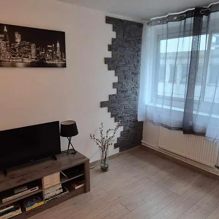 Daire Nouveau !! Confortable Totalement Renove Avec Parking Gratuit - Hypercentre De Nancy