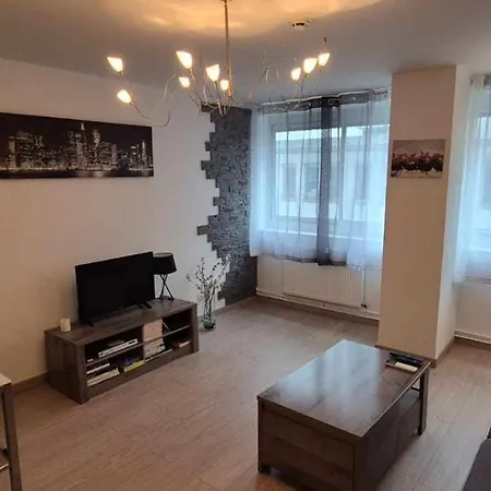 Nouveau !! Confortable Totalement Renove Avec Parking Gratuit - Hypercentre De 3*