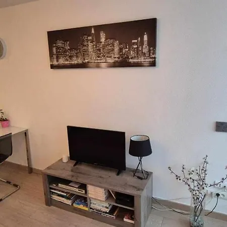 Nouveau !! Confortable Totalement Renove Avec Parking Gratuit - Hypercentre De 3* Nancy