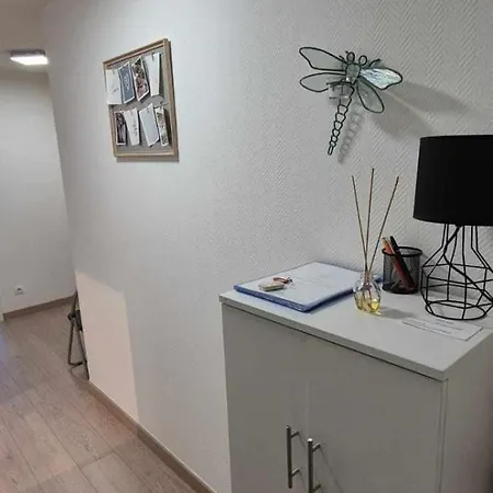 Nouveau !! Confortable Totalement Renove Avec Parking Gratuit - Hypercentre De Διαμέρισμα Νανσύ