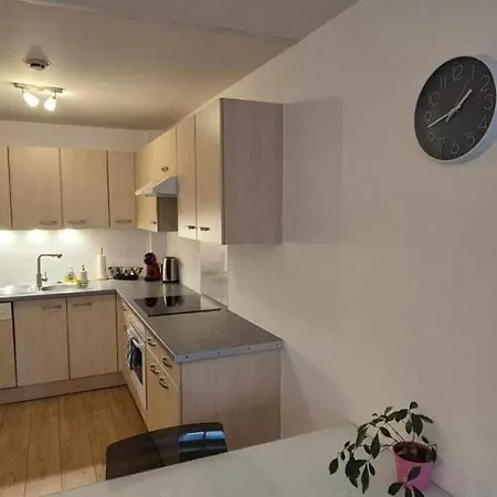 Nouveau !! Confortable Totalement Renove Avec Parking Gratuit - Hypercentre De Νανσύ