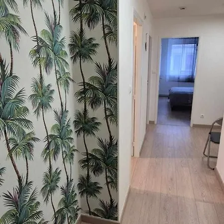 Nouveau !! Confortable Totalement Renove Avec Parking Gratuit - Hypercentre De 3* Nancy