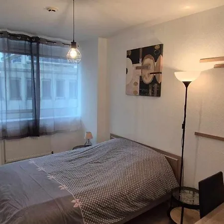 Διαμέρισμα Nouveau !! Confortable Totalement Renove Avec Parking Gratuit - Hypercentre De