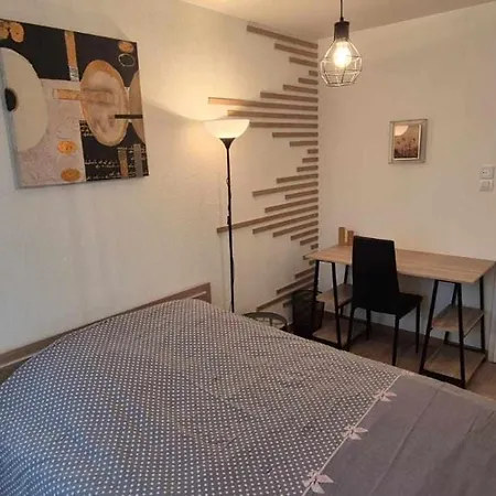 Nouveau !! Confortable Totalement Renove Avec Parking Gratuit - Hypercentre De Διαμέρισμα *