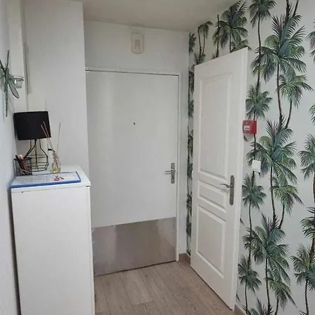 Nouveau !! Confortable Totalement Renove Avec Parking Gratuit - Hypercentre De Διαμέρισμα Νανσύ